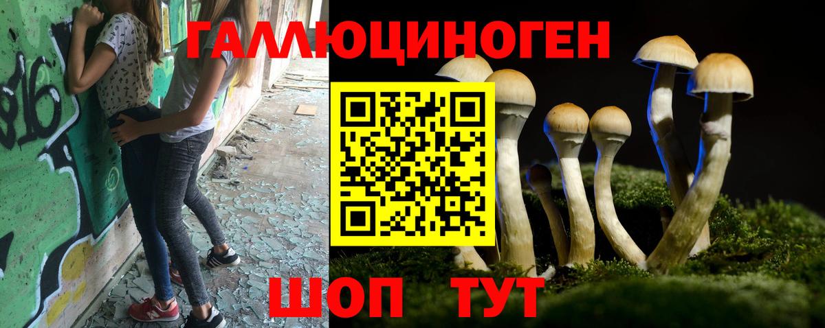 Псилоцибиновые грибы GOLDEN TEACHER  Вход с VPN  Галлюциногенные грибы мухоморы  Шали 