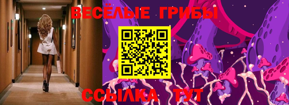 Галлюциногенные грибы Psilocybe Шали